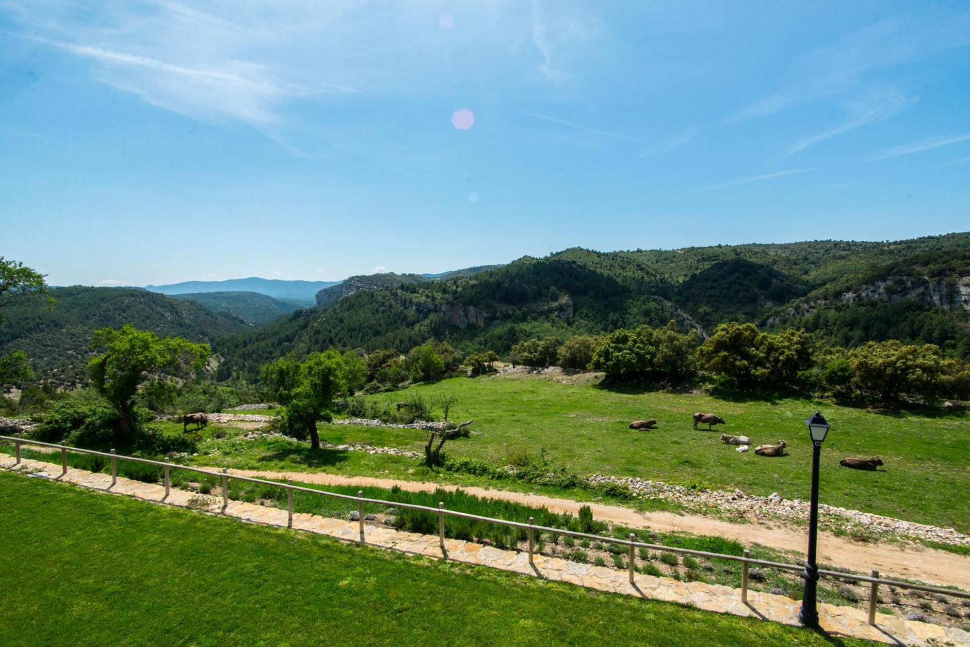 Font D'En Torres Solo Adultos Guest House Morella Luaran gambar